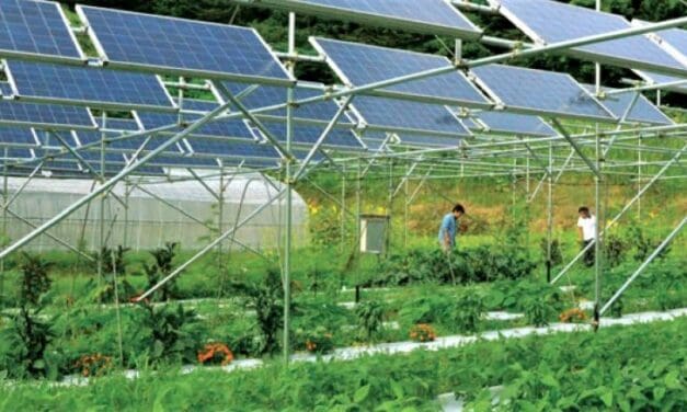 Agrivoltaico, che cos’è? E’ un futuro per l’agricoltura